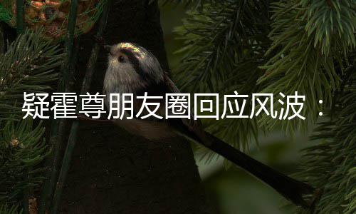 都没我尊朋真的做回应疑霍友圈什么风波